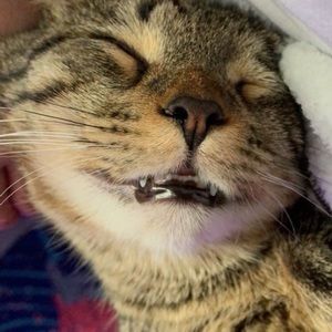 Meet your Posher, Carlee